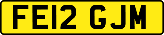 FE12GJM