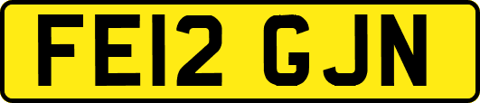 FE12GJN