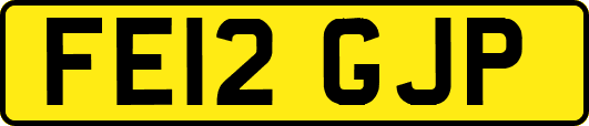 FE12GJP