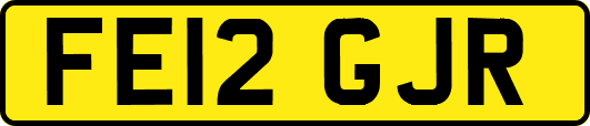 FE12GJR