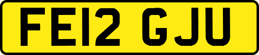 FE12GJU