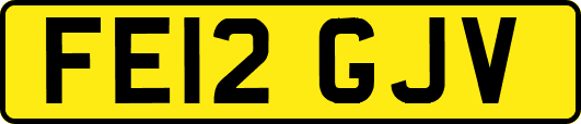 FE12GJV