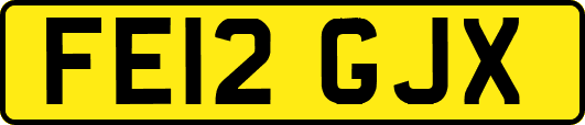 FE12GJX