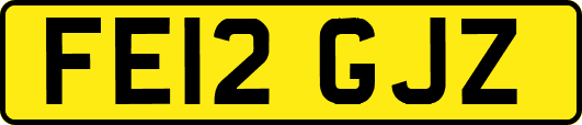 FE12GJZ