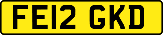 FE12GKD