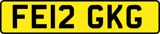 FE12GKG