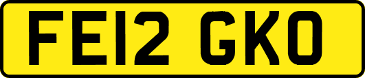 FE12GKO
