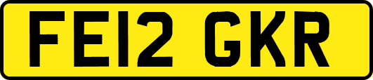 FE12GKR