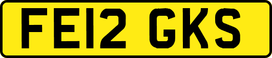 FE12GKS