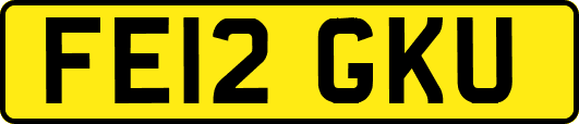 FE12GKU