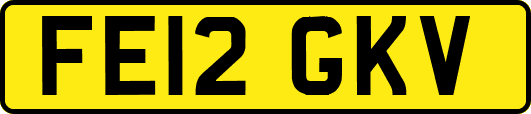 FE12GKV