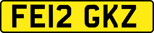 FE12GKZ