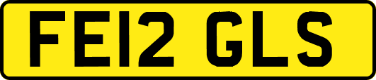 FE12GLS
