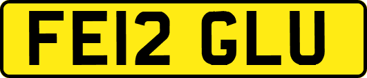 FE12GLU