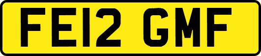 FE12GMF