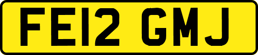 FE12GMJ