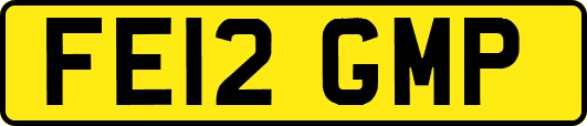 FE12GMP