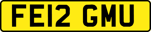 FE12GMU