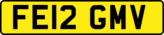 FE12GMV