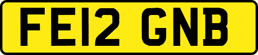 FE12GNB
