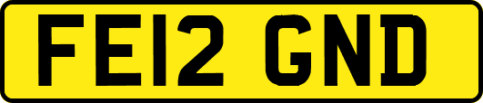 FE12GND