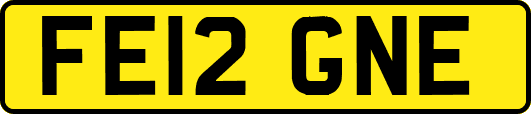 FE12GNE