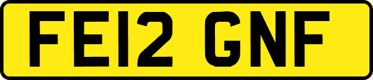 FE12GNF