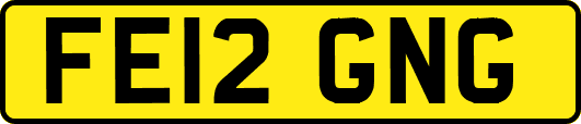 FE12GNG