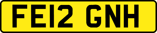 FE12GNH