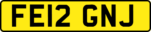 FE12GNJ