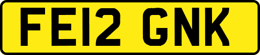 FE12GNK