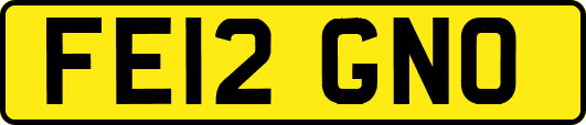 FE12GNO