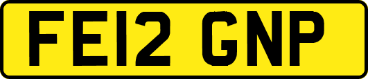 FE12GNP