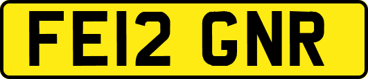 FE12GNR