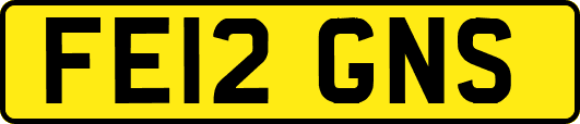 FE12GNS
