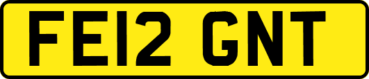FE12GNT