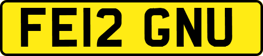 FE12GNU