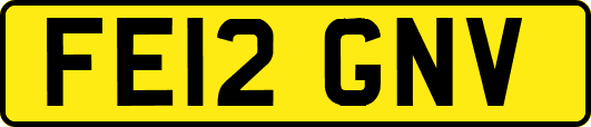 FE12GNV