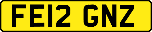 FE12GNZ