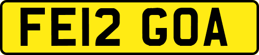 FE12GOA