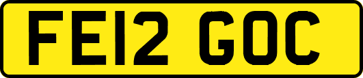 FE12GOC