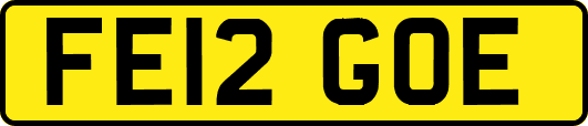 FE12GOE
