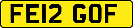 FE12GOF