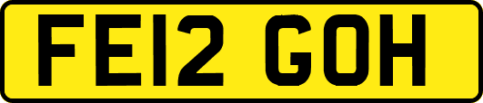 FE12GOH