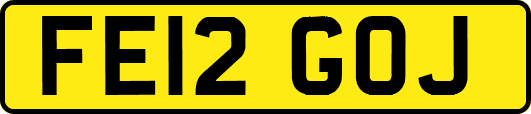 FE12GOJ