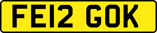 FE12GOK