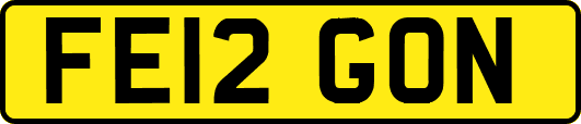FE12GON