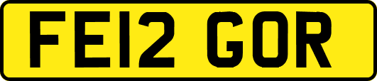 FE12GOR