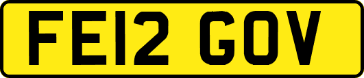 FE12GOV