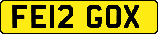 FE12GOX